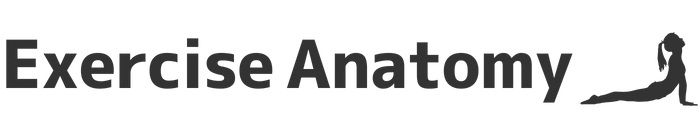 exercise-anatomy